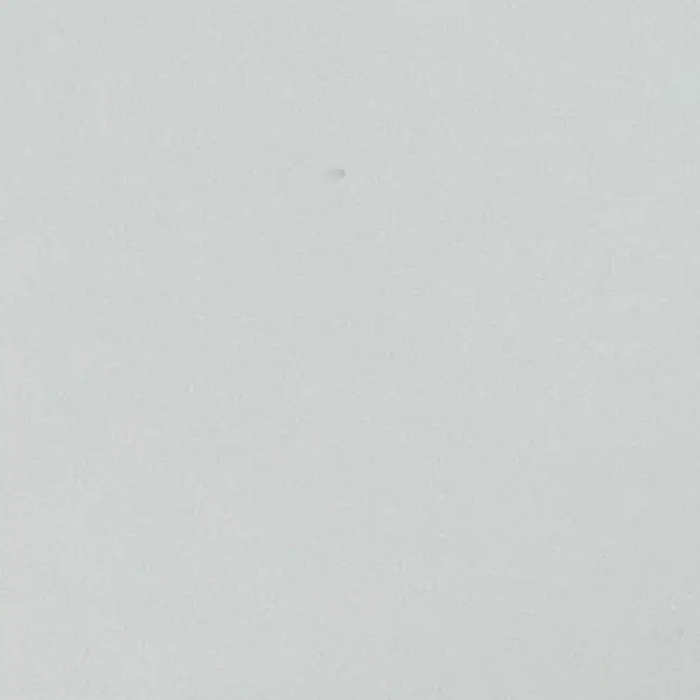 SalmonSaiga7300의 クダリと主従関係