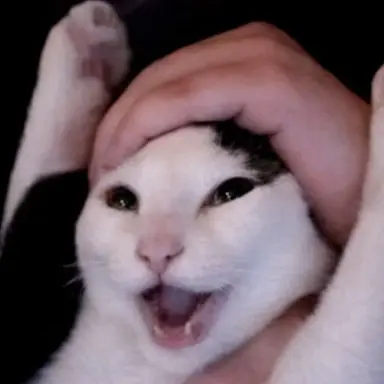 Profile image of ドパミズ