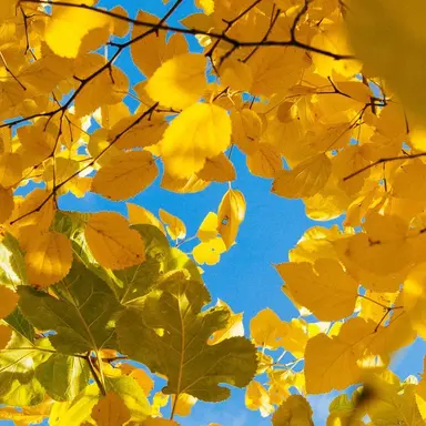 Profile image of 각별