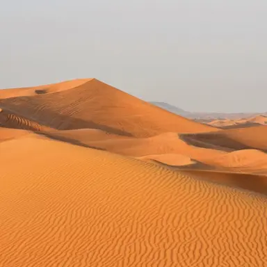 Profile image of 덕개