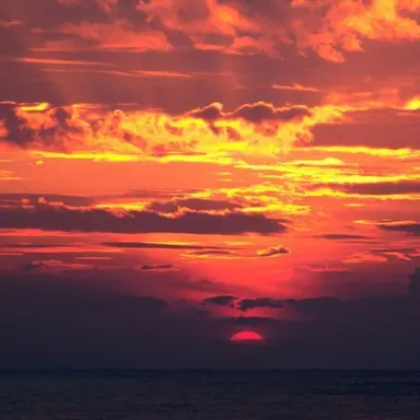 Profile image of 라더