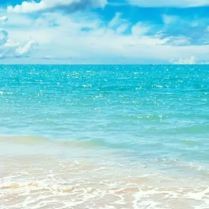 ClumsyRack8455의 미수반