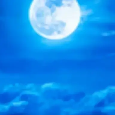 Profile image of 遥太