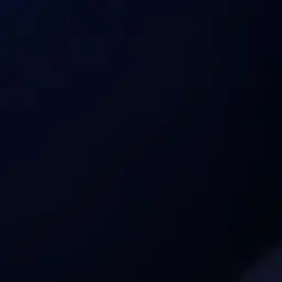 VIP20060819의 권지용