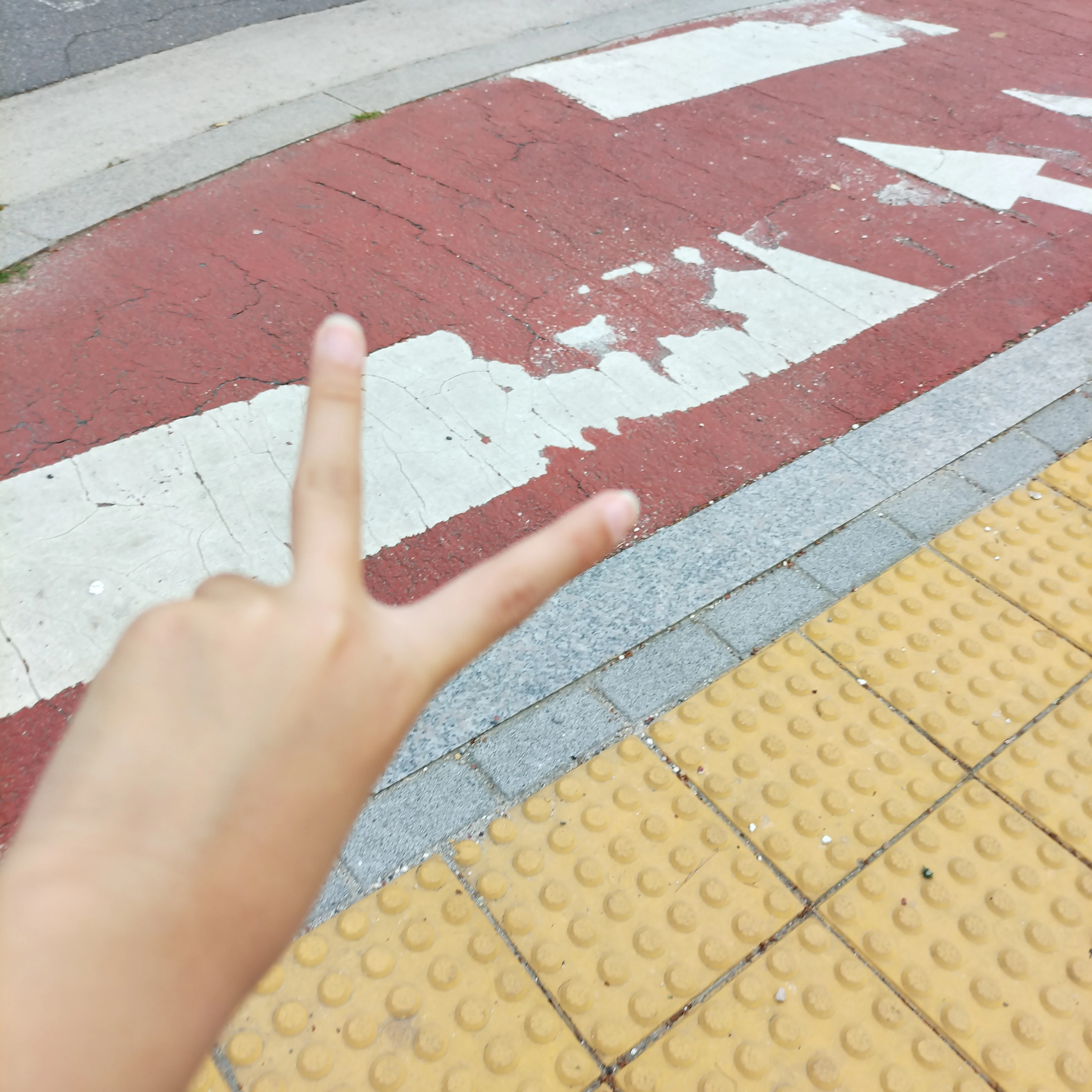 워터파크 온 쿠키들