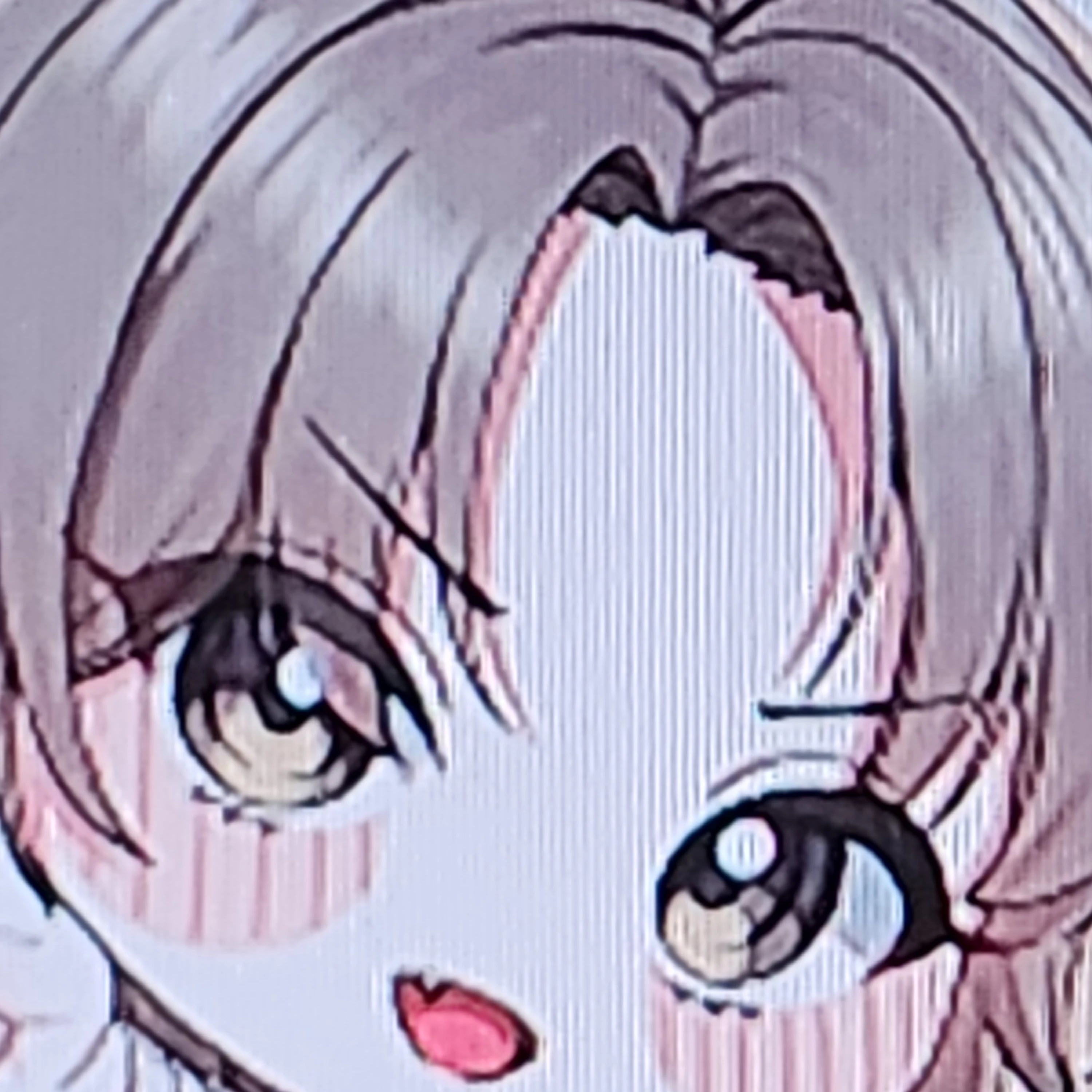 범이요