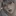 이시환