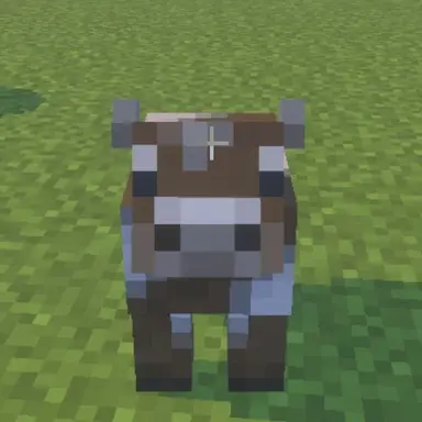 Profile image of 여우