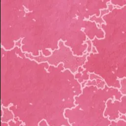 Profile image of 生徒と先生達