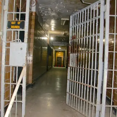 Profile image of level 3