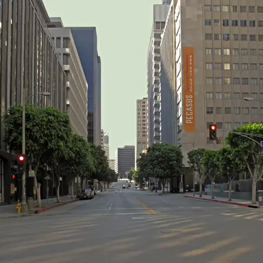 Profile image of level 10