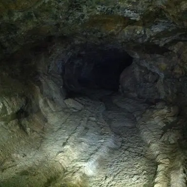 Profile image of level 8