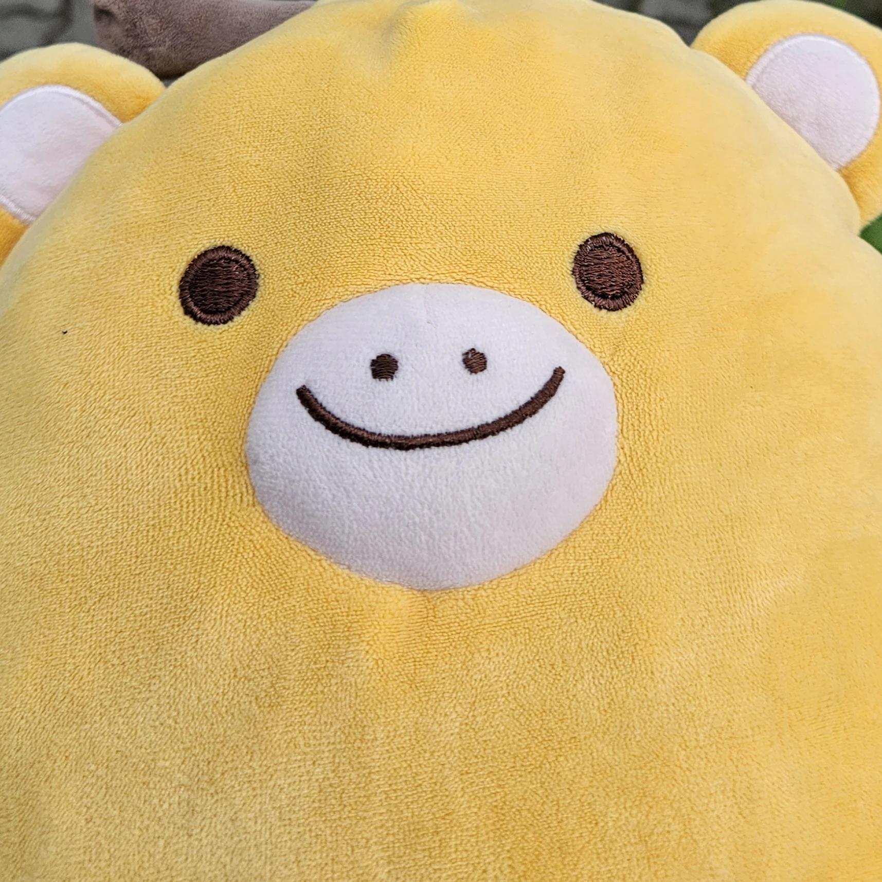 쭉쭉이