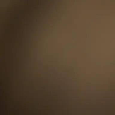 Profile image of 박 성 호