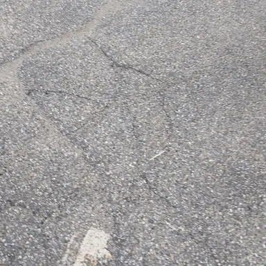 Profile image of Lucy