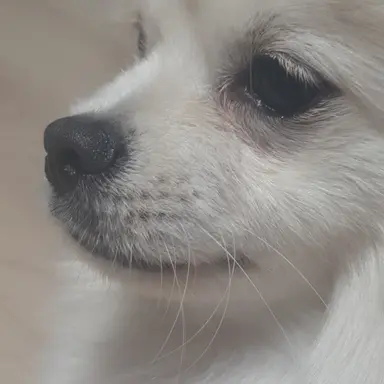 Profile image of 아이브