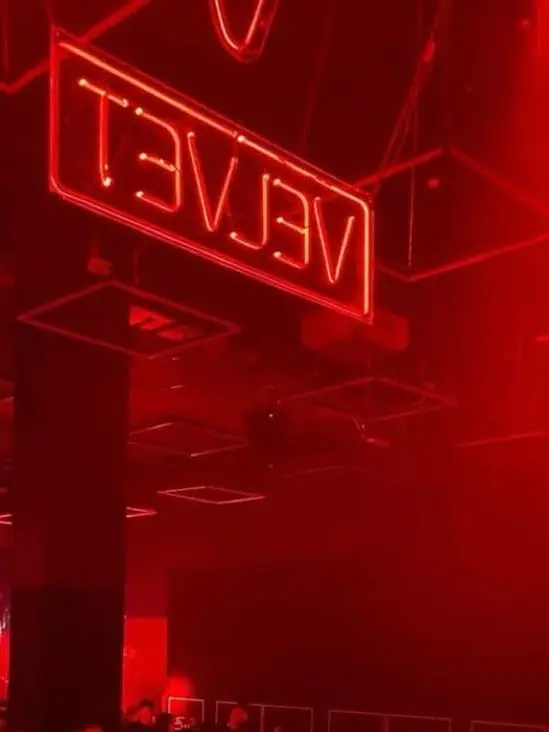 RQD1081의 최프로