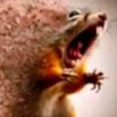 Profile image of FAH