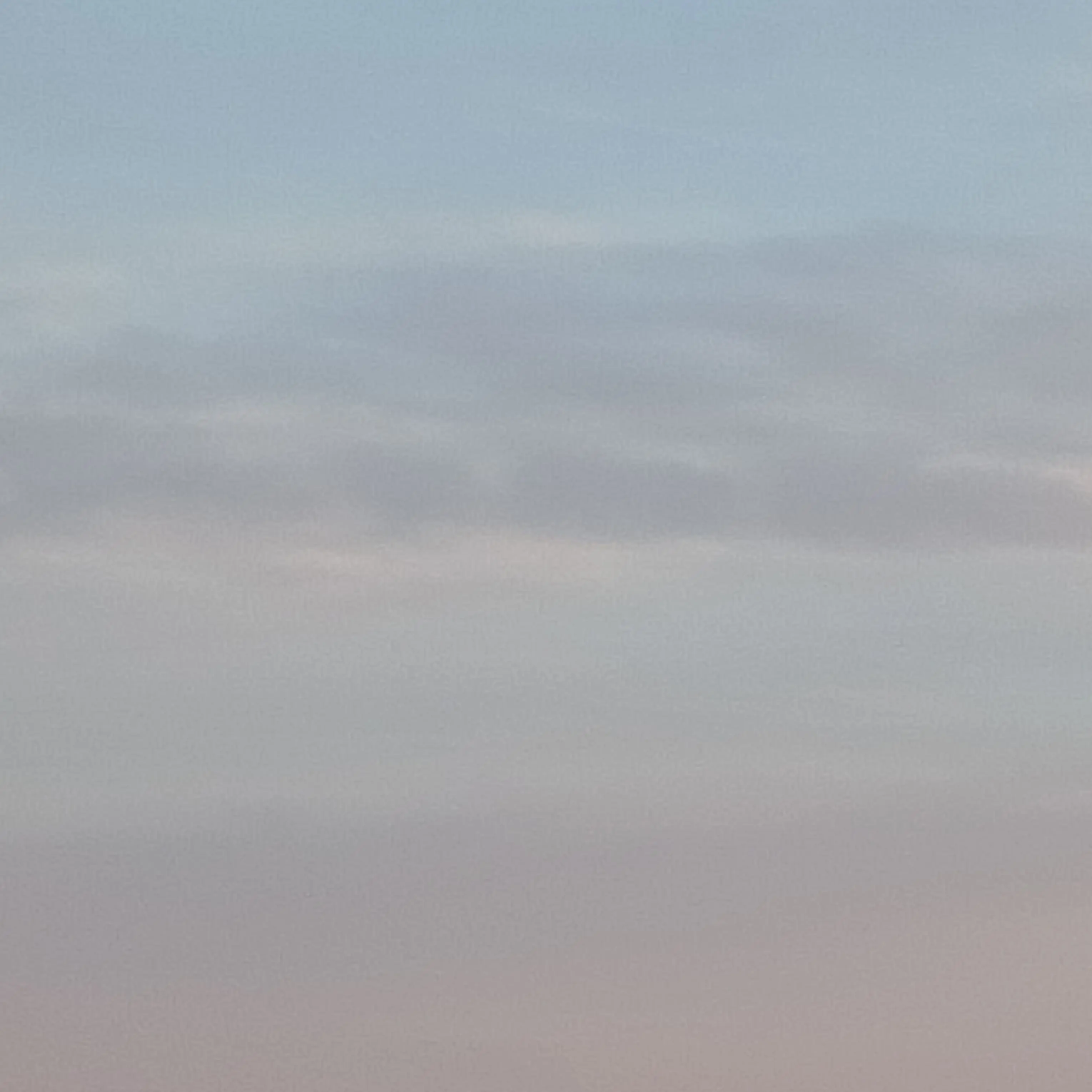 MerryCrab4103의 해적