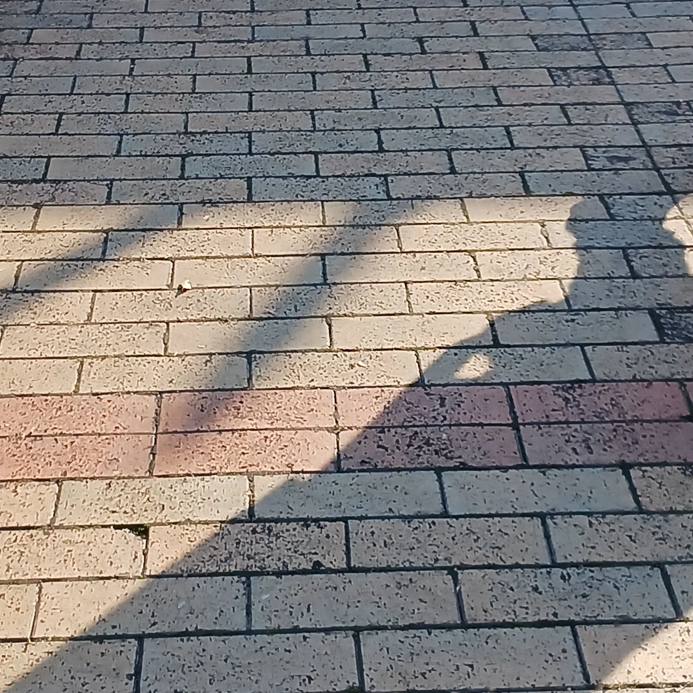 VagueOtter7836의 永瀬廉