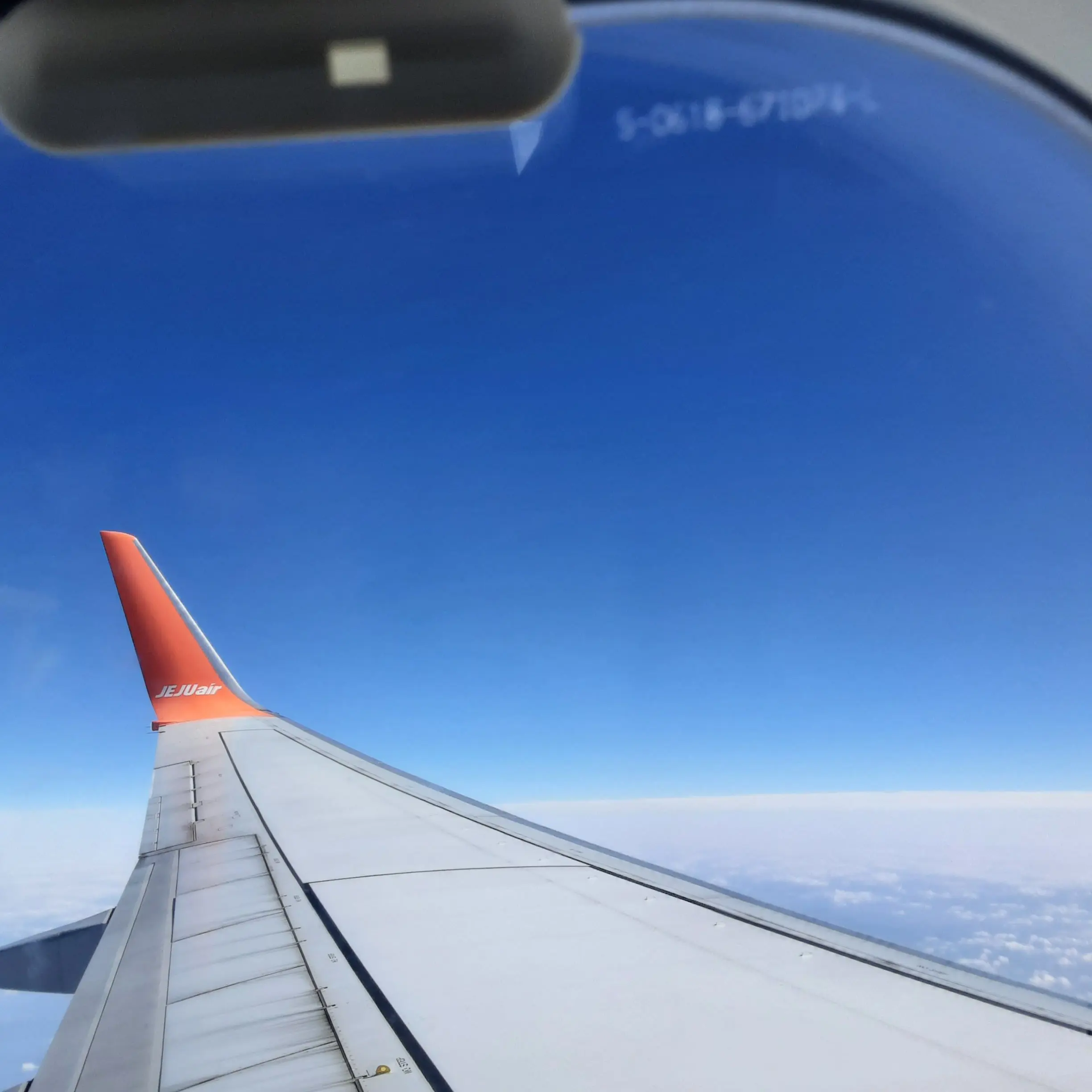 NarrowTimer7265의 사네미, 이구로, 이노스케랑 동거.