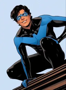 Profile image of Nightwing