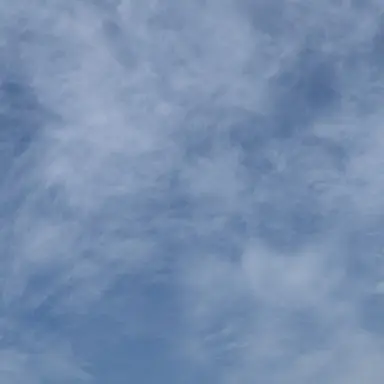 Profile image of 유하 민우