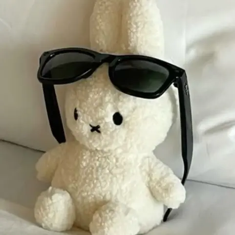 TinyRobin9333의 최승현