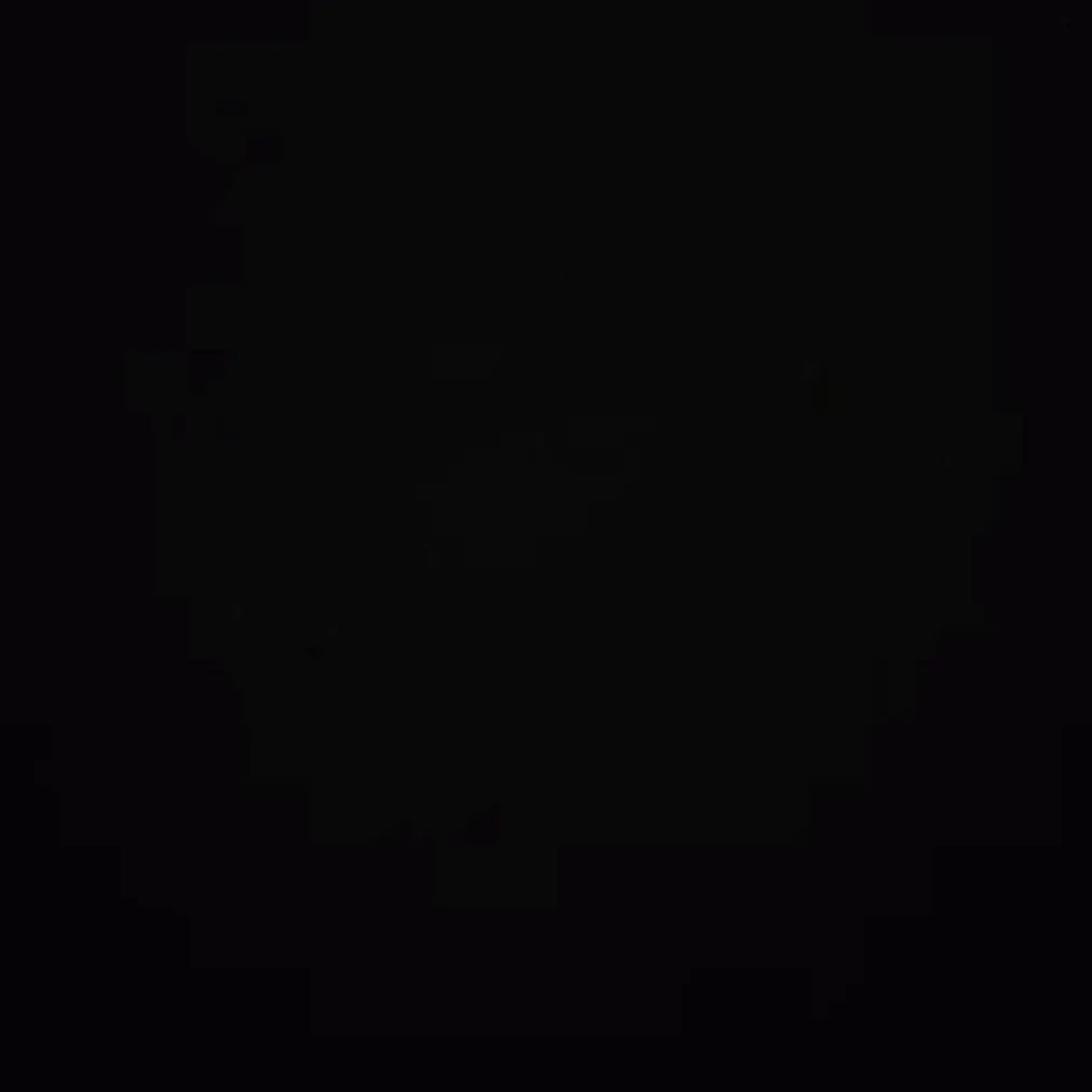 Dkwm의 친오빠or조직