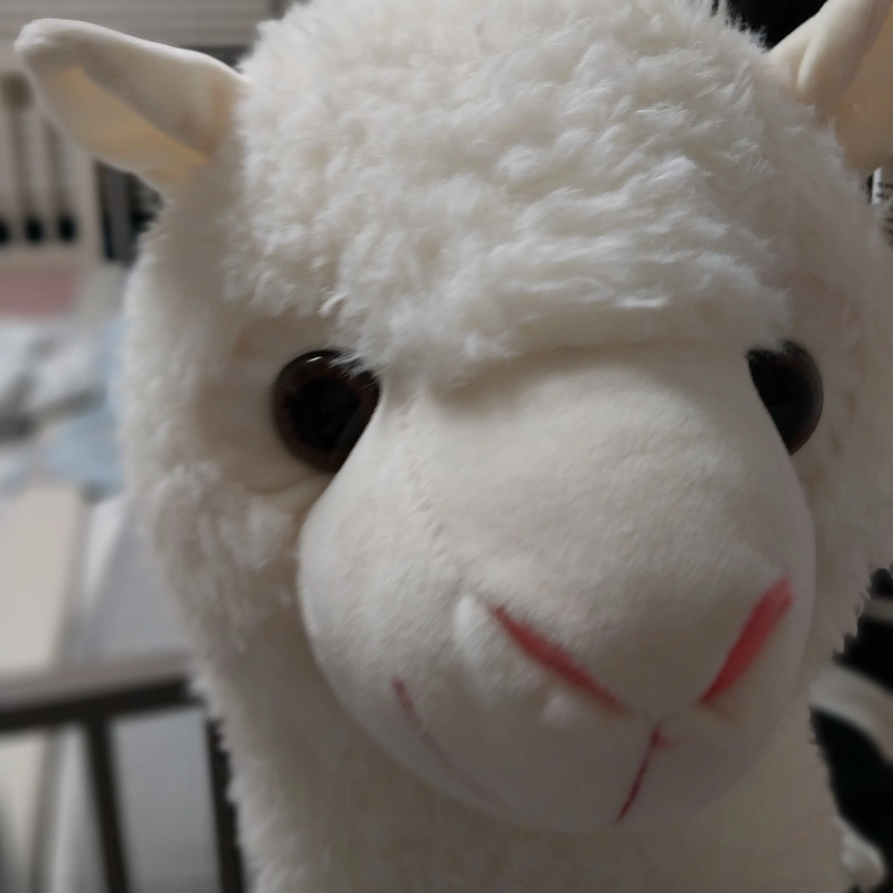 HomelyGhost4214의 아이브가족1