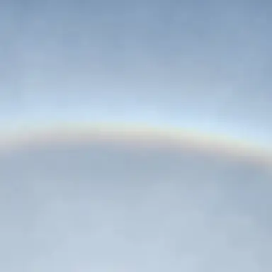 Profile image of 마플