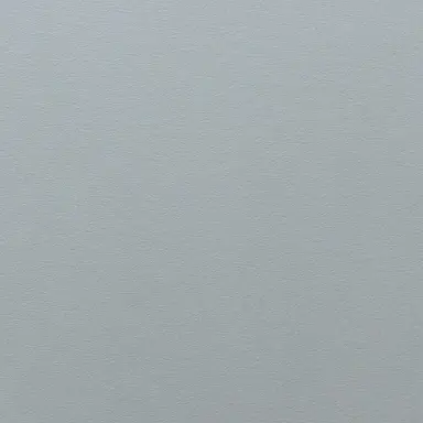 Profile image of 死柄木弔