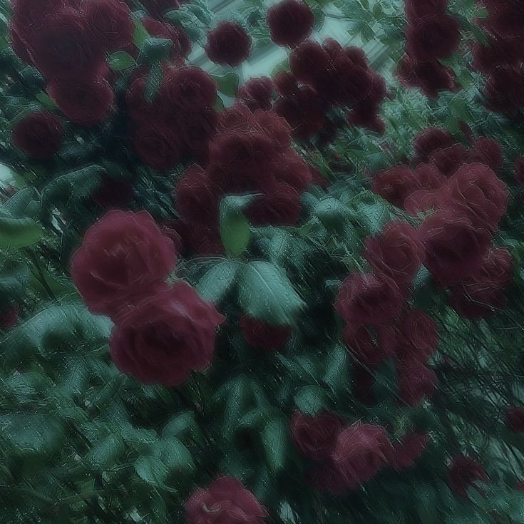 F 대표 이미지