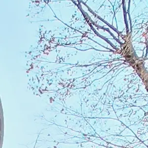 Luna0201의 이찮
