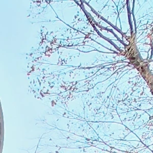 이찮