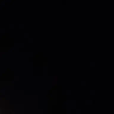 Profile image of 스트레이키즈