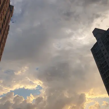 Profile image of 츠치고모리