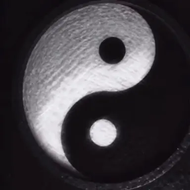 Profile image of Yin Yang