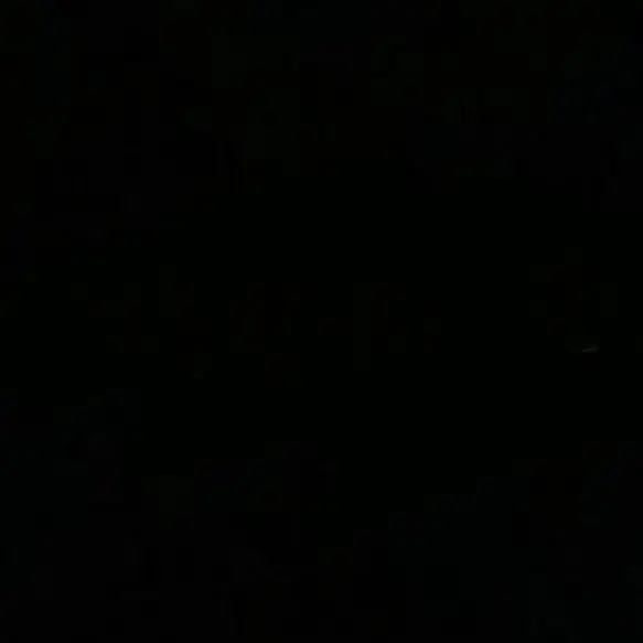2000.6.6의 ­