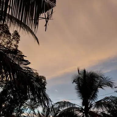 Profile image of 한동민