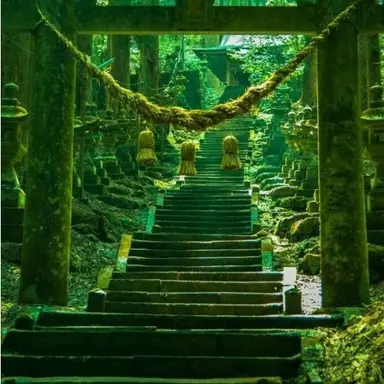 Profile image of 최산