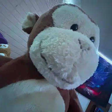 Profile image of Zion