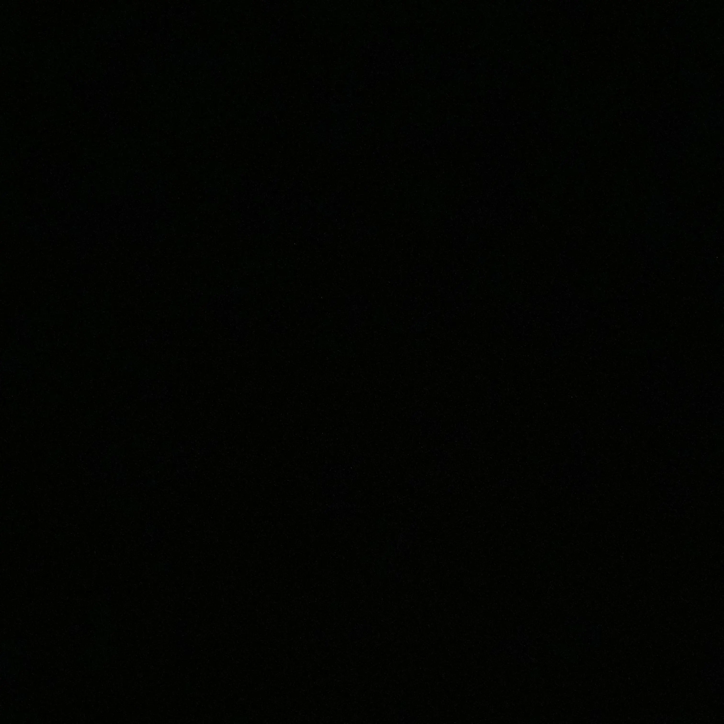 xzxj의 김주훈