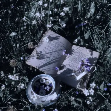Profile image of 사일런트솔트