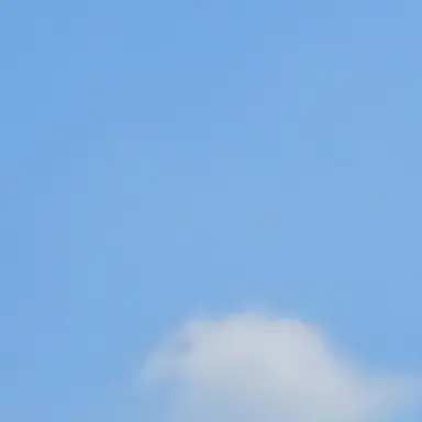 Profile image of パク・ソヨン