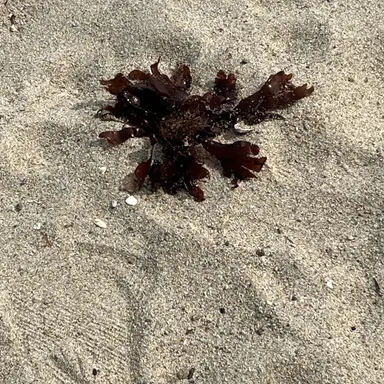 Profile image of 이 도