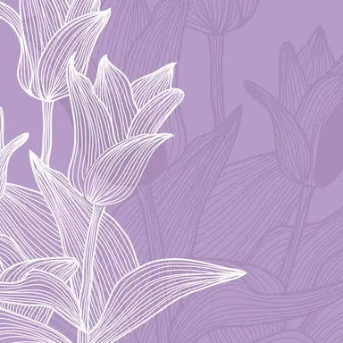 Profile image of なお