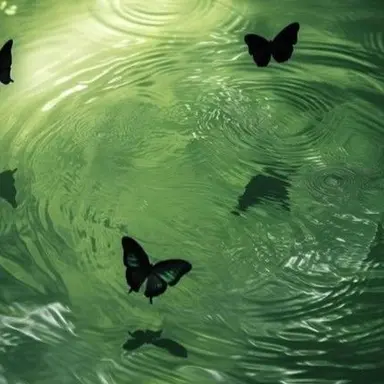 Profile image of 정공룡