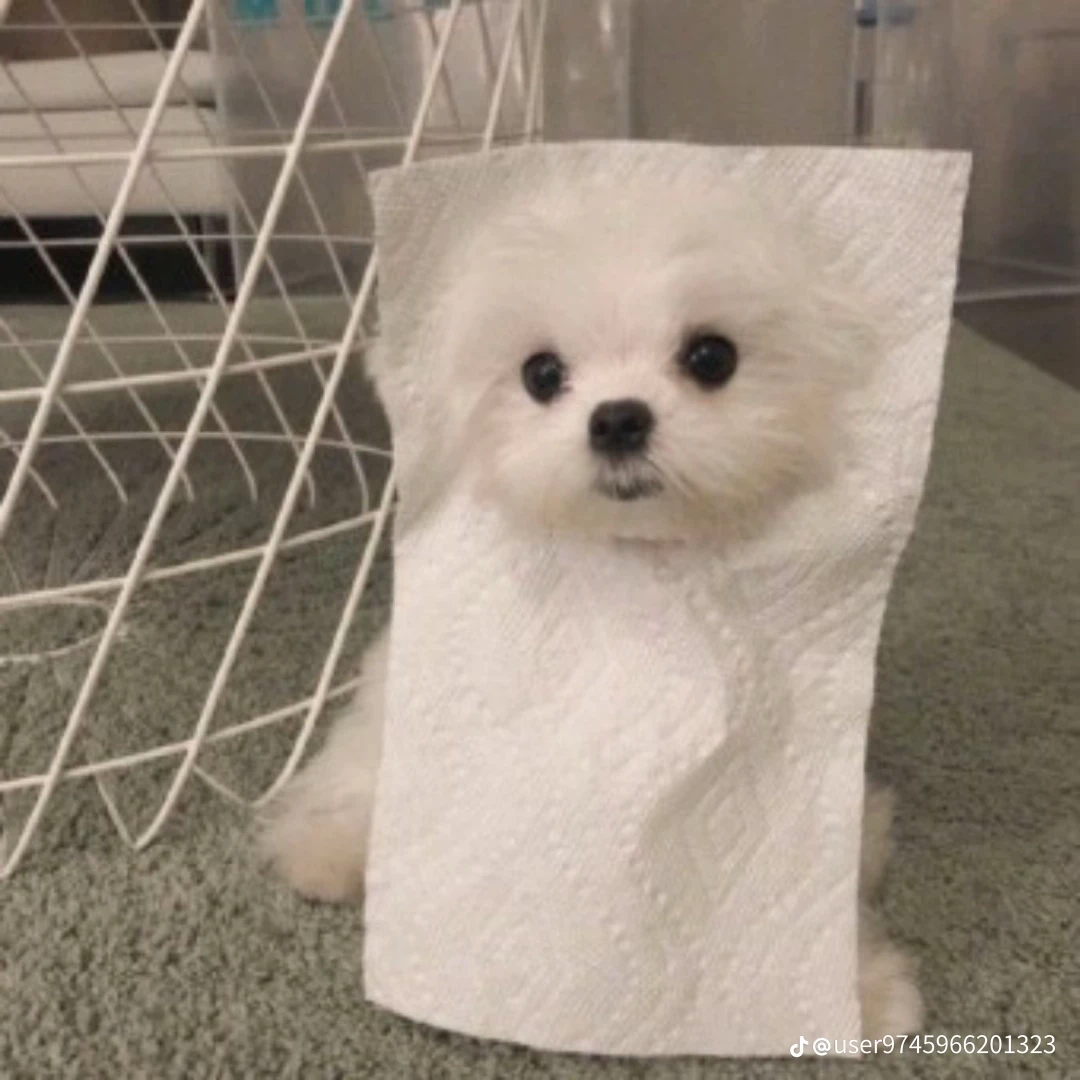 백도화