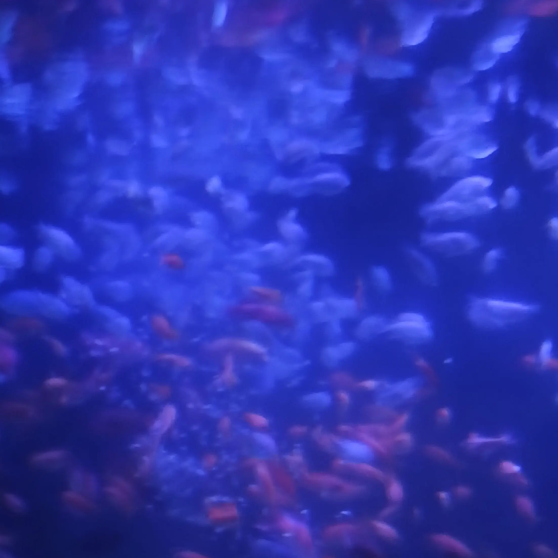 0k41atm019의 海
